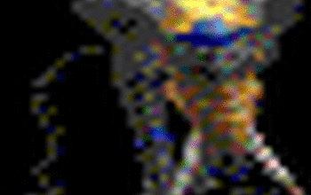 Avi elephant