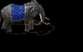 Avi riderless 20elephant